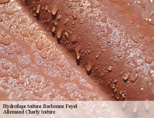 Hydrofuge toiture  barbonne-fayel-51120 Allemand Charly toiture