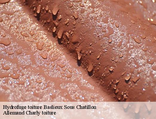 Hydrofuge toiture  baslieux-sous-chatillon-51700 Allemand Charly toiture