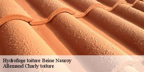 Hydrofuge toiture  beine-nauroy-51490 Allemand Charly toiture