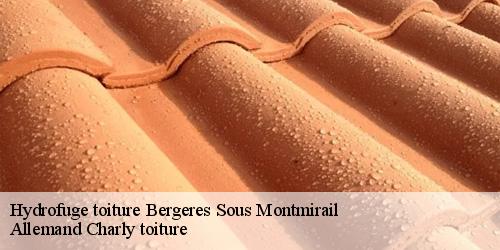 Hydrofuge toiture  bergeres-sous-montmirail-51210 Allemand Charly toiture