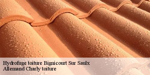Hydrofuge toiture bignicourt-sur-saulx-51340 Allemand Charly toiture