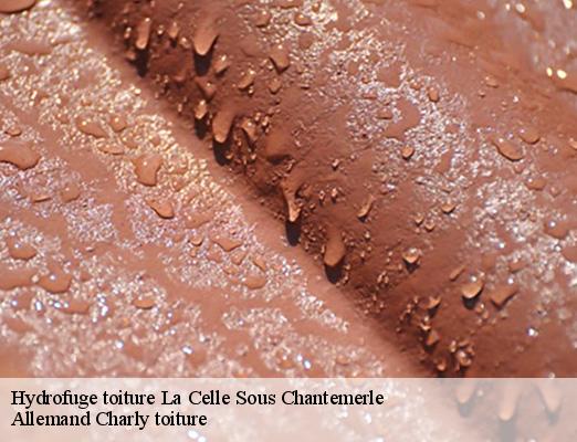 Hydrofuge toiture  la-celle-sous-chantemerle-51260 Allemand Charly toiture