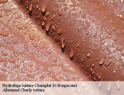 Hydrofuge toiture  champlat-et-boujacourt-51480 Allemand Charly toiture