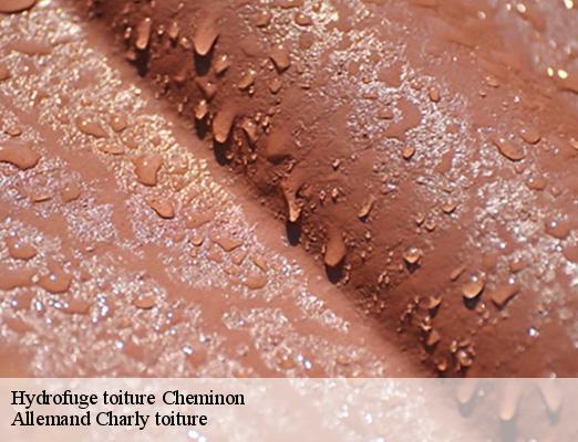 Hydrofuge toiture cheminon-51250 Allemand Charly toiture