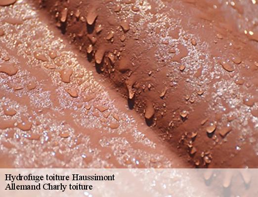 Hydrofuge toiture haussimont-51320 Allemand Charly toiture
