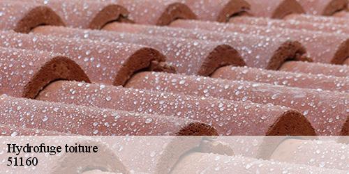 Hydrofuge toiture hautvillers-51160 Allemand Charly toiture