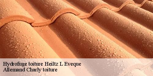 Hydrofuge toiture  heiltz-l-eveque-51340 Allemand Charly toiture