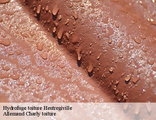 Hydrofuge toiture  heutregiville-51110 Allemand Charly toiture