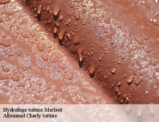 Hydrofuge toiture  merlaut-51300 Allemand Charly toiture