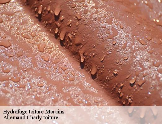Hydrofuge toiture  morains-51130 Allemand Charly toiture