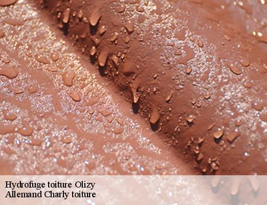 Hydrofuge toiture olizy-51700 Allemand Charly toiture