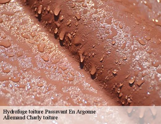 Hydrofuge toiture  passavant-en-argonne-51800 Allemand Charly toiture