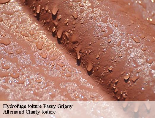 Hydrofuge toiture  passy-grigny-51700 Allemand Charly toiture