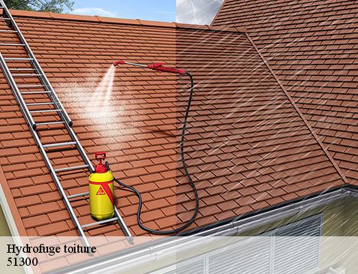 Hydrofuge toiture saint-quentin-les-marais-51300 Allemand Charly toiture