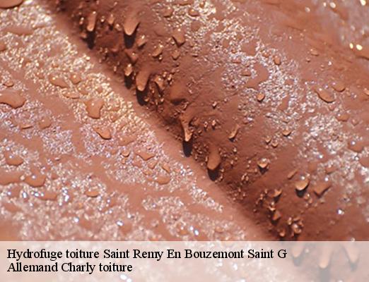Hydrofuge toiture  saint-remy-en-bouzemont-saint-g-51290 Allemand Charly toiture