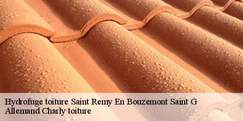 Hydrofuge toiture  saint-remy-en-bouzemont-saint-g-51290 Allemand Charly toiture