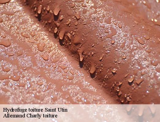 Hydrofuge toiture saint-utin-51290 Allemand Charly toiture