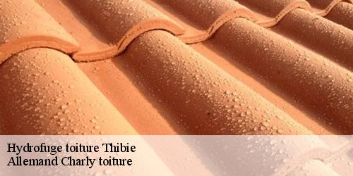 Hydrofuge toiture  thibie-51510 Allemand Charly toiture