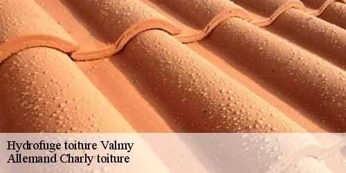 Hydrofuge toiture  valmy-51800 Allemand Charly toiture