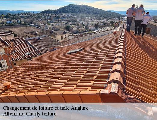 Changement de toiture et tuile anglure-51260 Allemand Charly toiture