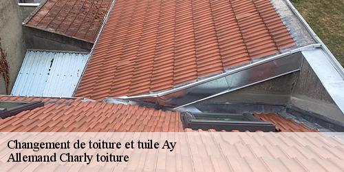 Changement de toiture et tuile  ay-51160 Allemand Charly toiture