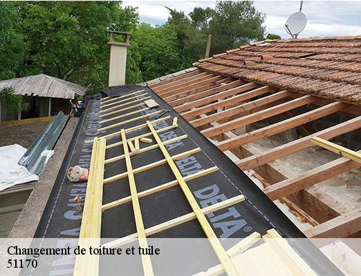Changement de toiture et tuile  savigny-sur-ardres-51170 Allemand Charly toiture
