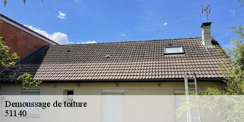 Demoussage de toiture  pevy-51140 Allemand Charly toiture