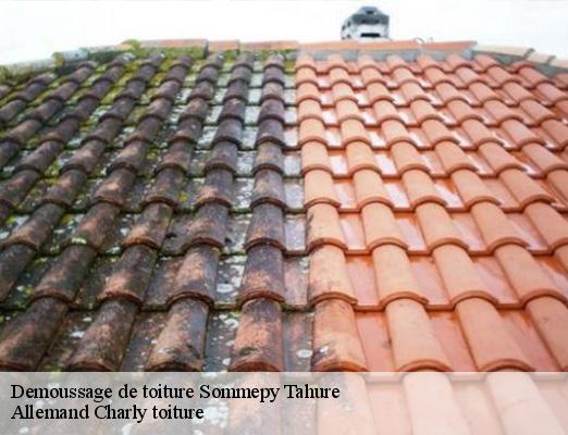 Demoussage de toiture  sommepy-tahure-51600 Allemand Charly toiture