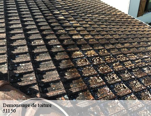 Demoussage de toiture  tours-sur-marne-51150 Allemand Charly toiture