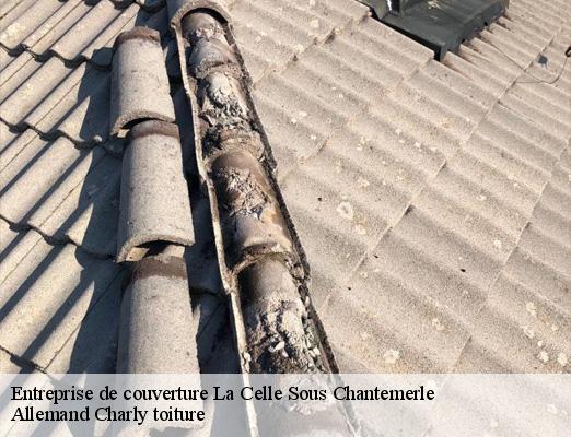 Entreprise de couverture  la-celle-sous-chantemerle-51260 Allemand Charly toiture