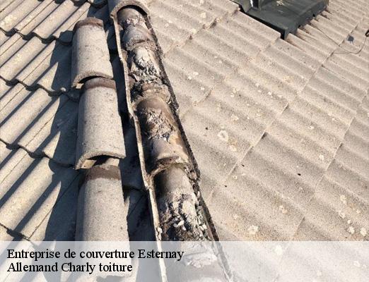 Entreprise de couverture  esternay-51310 Allemand Charly toiture