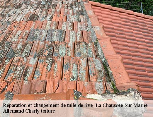 Réparation et changement de tuile de rive la-chaussee-sur-marne-51240 Allemand Charly toiture