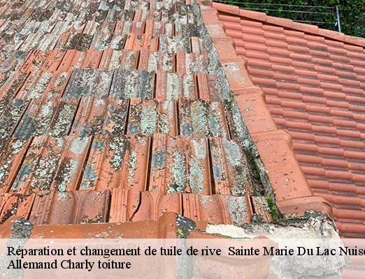 Réparation et changement de tuile de rive sainte-marie-du-lac-nuisemen-51290 Allemand Charly toiture