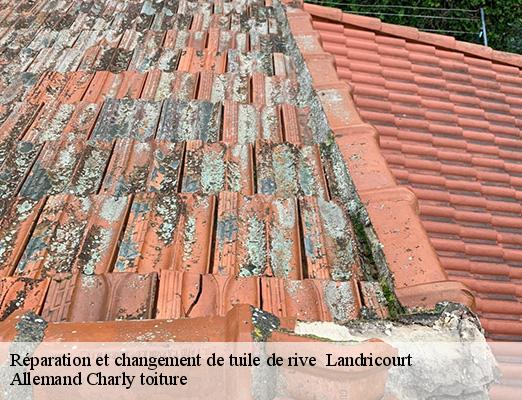 Réparation et changement de tuile de rive   landricourt-51290 Allemand Charly toiture