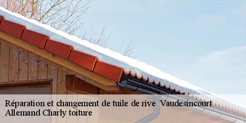 Réparation et changement de tuile de rive   vaudesincourt-51600 Allemand Charly toiture