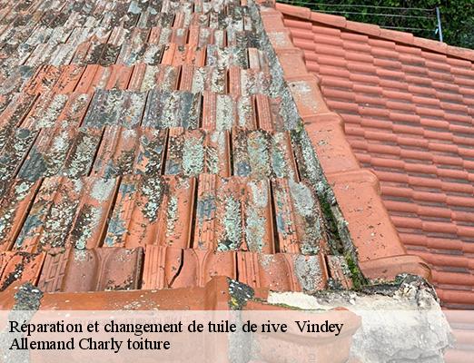 Réparation et changement de tuile de rive   vindey-51120 Allemand Charly toiture