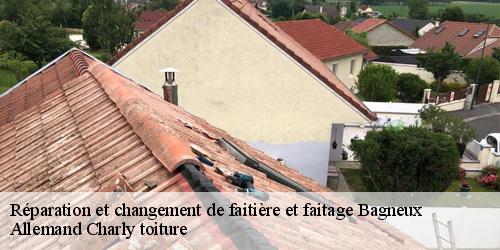 Réparation et changement de faitière et faitage  bagneux-51260 Allemand Charly toiture