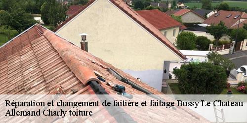 Réparation et changement de faitière et faitage  bussy-le-chateau-51600 Allemand Charly toiture
