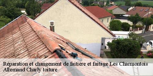 Réparation et changement de faitière et faitage  les-charmontois-51330 Allemand Charly toiture