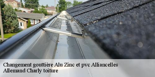 Changement gouttière Alu Zinc et pvc  alliancelles-51250 Allemand Charly toiture