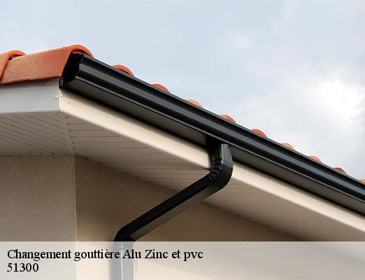 Changement gouttière Alu Zinc et pvc  bassuet-51300 Allemand Charly toiture