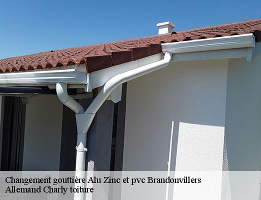 Changement gouttière Alu Zinc et pvc brandonvillers-51290 Allemand Charly toiture
