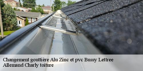 Changement gouttière Alu Zinc et pvc bussy-lettree-51320 Allemand Charly toiture