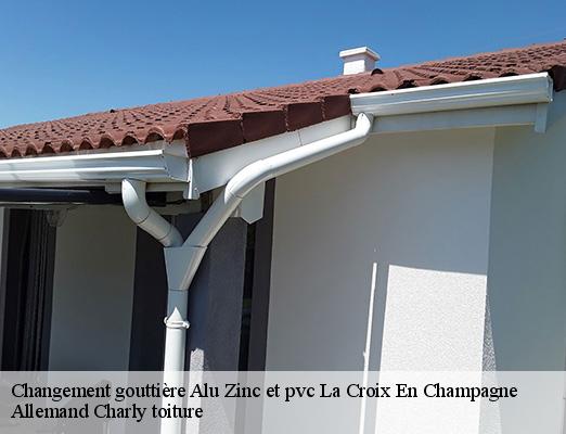 Changement gouttière Alu Zinc et pvc  la-croix-en-champagne-51600 Allemand Charly toiture