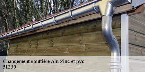 Changement gouttière Alu Zinc et pvc  faux-fresnay-51230 Allemand Charly toiture