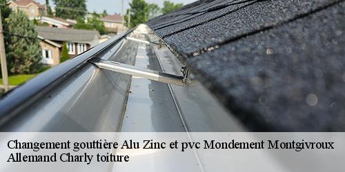 Changement gouttière Alu Zinc et pvc  mondement-montgivroux-51120 Allemand Charly toiture
