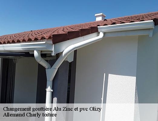 Changement gouttière Alu Zinc et pvc olizy-51700 Allemand Charly toiture