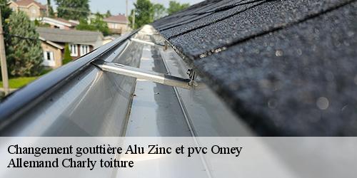 Changement gouttière Alu Zinc et pvc  omey-51240 Allemand Charly toiture