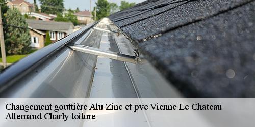 Changement gouttière Alu Zinc et pvc  vienne-le-chateau-51800 Allemand Charly toiture