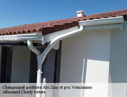 Changement gouttière Alu Zinc et pvc vouciennes-51240 Allemand Charly toiture